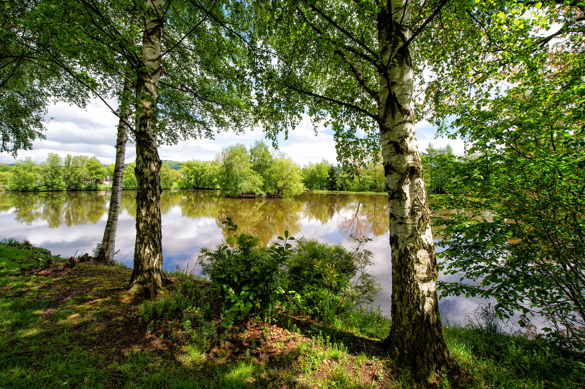 Pascal Arimon - Umwelt